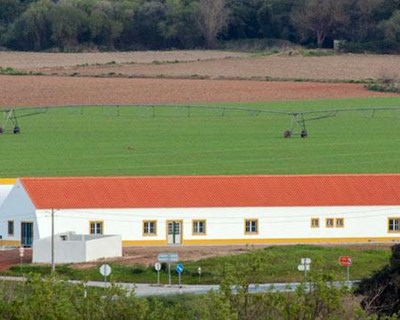 Mora tem novo Museu dedicado ao mundo agroflorestal