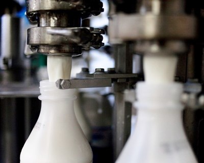«Não aceito que o leite seja vendido mais barato do que água», diz Junker