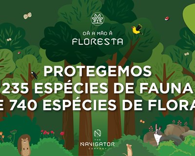 Navigator sensibiliza crianças em Aveiro para a importância da floresta