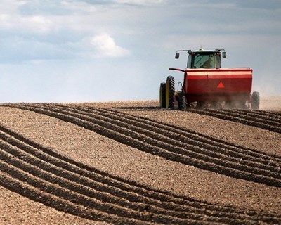 Necessidades financeiras dos setores agrícola e agroalimentar em Portugal