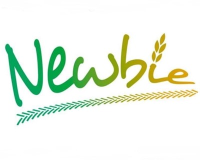 Newbie publica newsletter informativa