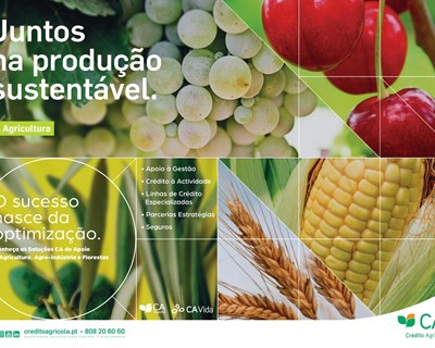 Nova campanha do Crédito Agrícola aposta na promoção de agricultura sustentável