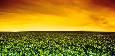 Novas tecnologias e suas aplicações na Agricultura em destaque nos EUA