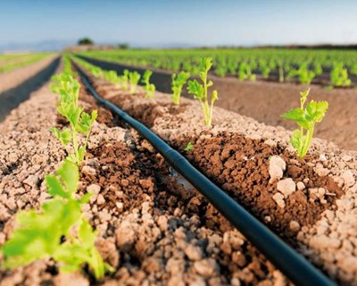 Novo artigo da Agro.ges: O papel da agricultura para a neutralidade carbónica