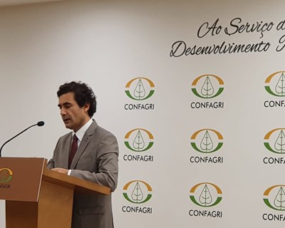 Nuno Russo: «Organizações de Produtores são um elemento estruturante da melhoria da posição dos agricultores na cadeia alimentar»