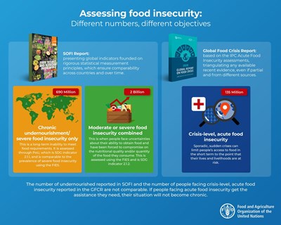 O Estado da Segurança Alimentar e Nutrição no Mundo 2020