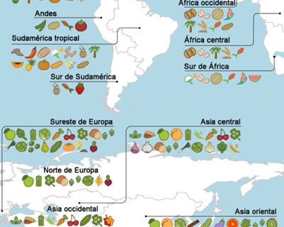 O mapa que mostra a origem dos alimentos que comemos