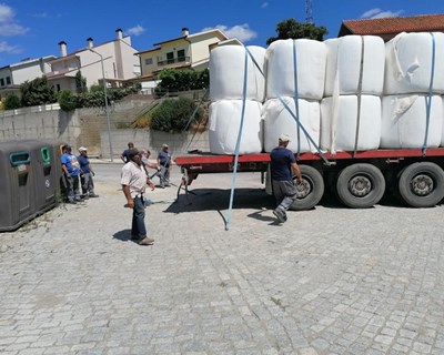 Onda de solidariedade do setor agrícola já está a chegar aos produtores afetados pelos incêndios