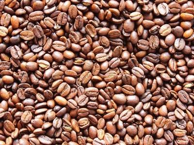 Único café produzido na Europa vem da ilha de São Jorge