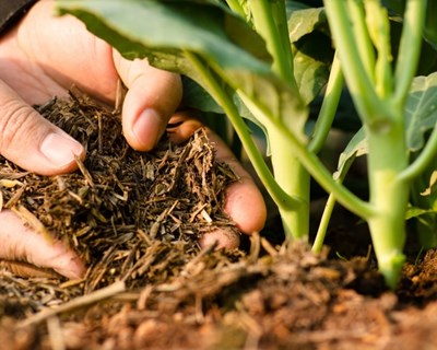 Opinião: Os fertilizantes e o IVA, uma mistura muito orgânica