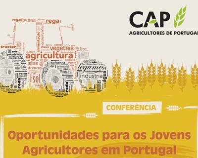Oportunidades para os jovens agricultores em Portugal