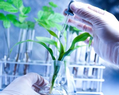 P-BIO e CAP apresentam estudo sobre biotecnologia aplicada à agricultura