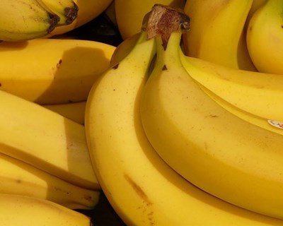 Parlamento Europeu aprova mecanismo para proteger produtores de banana