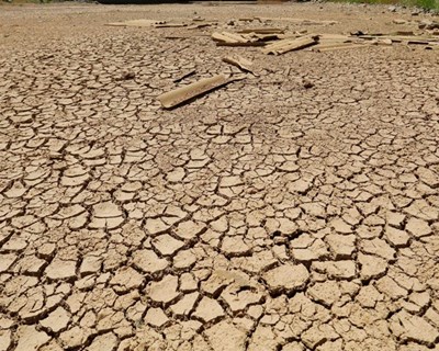 Parlamento vai ouvir ministros do Ambiente e da Agricultura sobre situação da seca