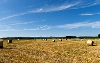 PDR 2020: criadas estruturas locais de apoio à agricultura