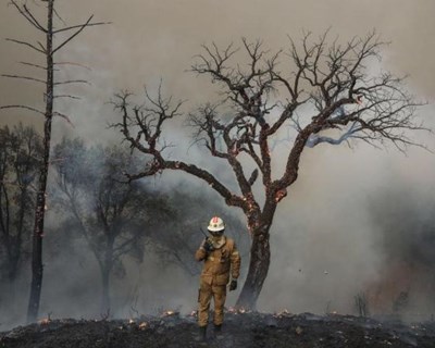 PDR: combate e prevenção de incêndios vai contar com 36 milhões até 2022