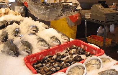 Pesca: empresas portuguesas marcam presença na maior feira da Europa