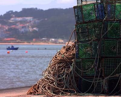 Pesca: publicado regime de apoio ao arranque de atividade para jovens