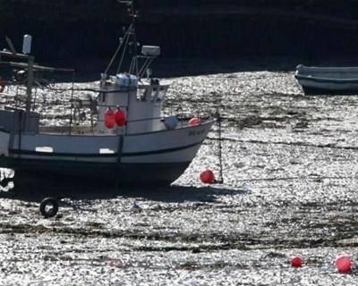 Pescas: discussão sobre quotas só em outubro