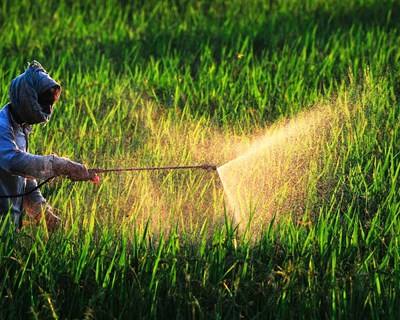 Pesticidas: há mais de 270 mil pessoas habilitadas para comprar e aplicar produtos