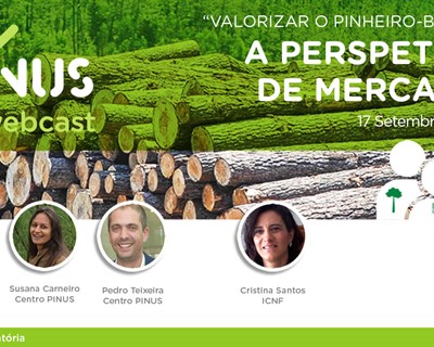 PINUS promove webcast “Valorizar o pinheiro-bravo: a perspetiva de mercado"