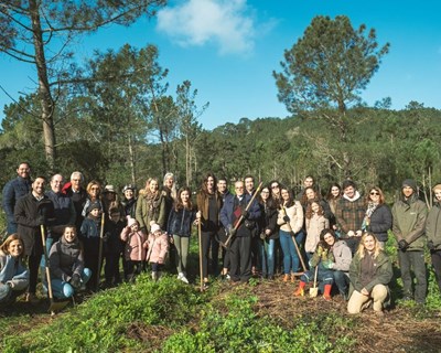 Plantação de uma árvore por colaborador marca o início das celebrações dos 100 anos da Nestlé Portugal