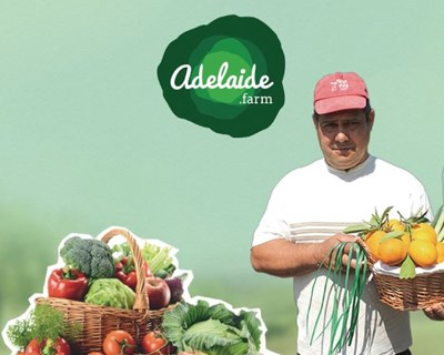 Plataforma “Adelaide Farm” apresentada em Serpa