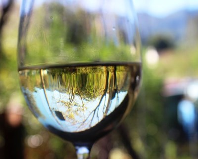 Política vinícola da UE contribui para manter a reputação e a competitividade do vinho europeu