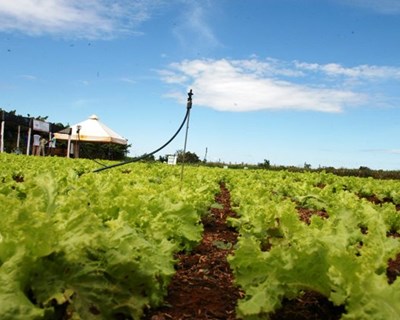 Pombal acolhe seminário sobre agro-indústria em abril