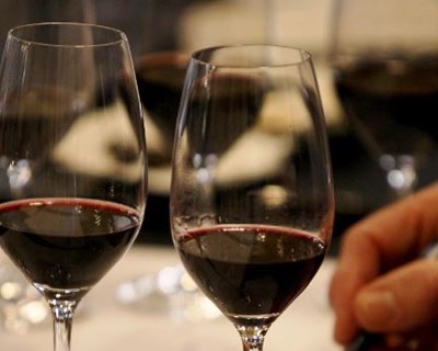 Ponte de Lima: município promove formação certificada de vinhos