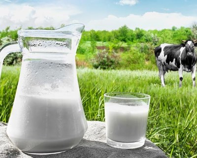 Pontos de venda vão ter informação sobre benefícios do consumo de leite
