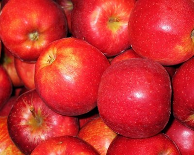 Portugal assina acordos de exportação de pera e maçã para o Peru