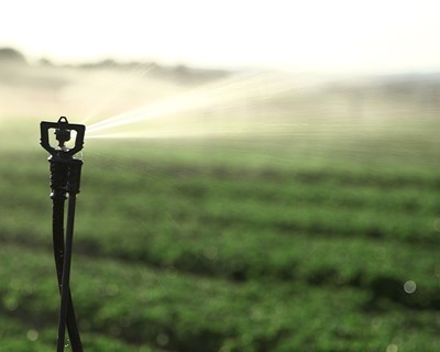 Portugal assume a presidência da Irrigants d’Europe até 2020