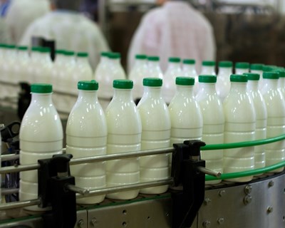 Portugal consegue autorização da CE para rotulagem de origem do leite