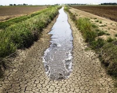 Portugal define medidas para enfrentar seca