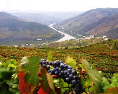 Portugal é o quinto fornecedor de vinhos importados pela China