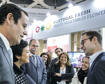 Portugal Fresh: Promoção conjunta de frutas, legumes e flores  faz duplicar exportações