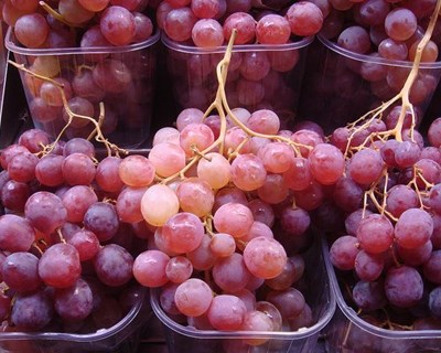 Portugal já pode exportar uva de mesa para a China