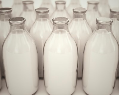 Portugal pede autorização de Bruxelas para etiquetagem de produtos lácteos