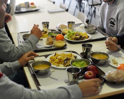 Portugal recebe 5,5 milhões de euros para distribuir fruta e leite nas escolas em 2019-2020