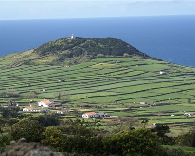 POSEI: Federação agrícola dos Açores intensifica ações de sensibilização junto dos atores legislativos da UE