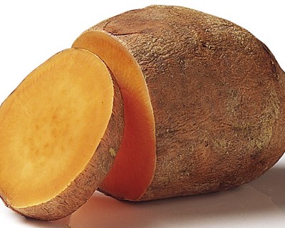 Potencial de batata-doce portuguesa descoberto por alemães