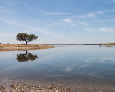 Preço da água baixa em Alqueva