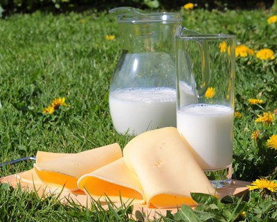 "Preço do leite deve acompanhar aumento dos custos de produção", afirma APROLEP