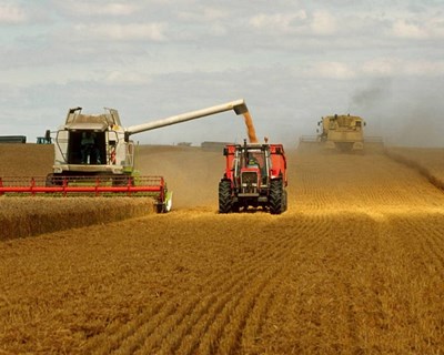 Preço dos principais alimentos básicos cai 20,7% face a maio de 2014