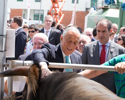 Presidente da República saúda produtores que fizeram «viragem» na agricultura portuguesa