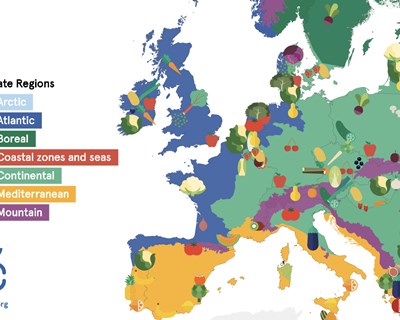 Primeiro mapa interativo de frutas e legumes lançado na Europa