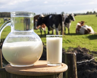 Produção de leite aumenta nas principais regiões produtoras do mundo