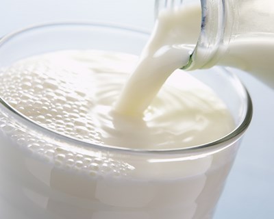 "Produção de leite nacional cada vez mais ameaçada", afirma Federação Agrícola dos Açores
