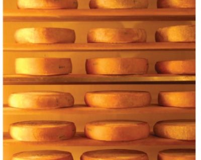 Produção de queijo: origem dos coalhos
